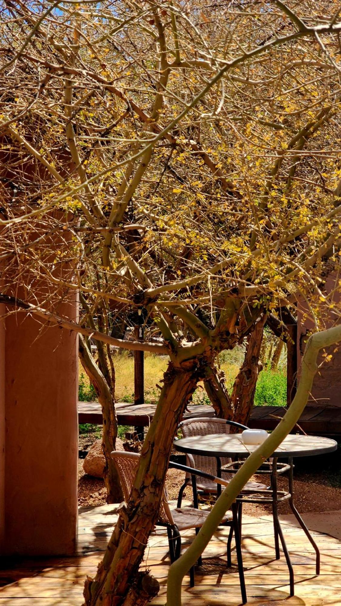 Hotel Tulor San Pedro de Atacama Exterior foto